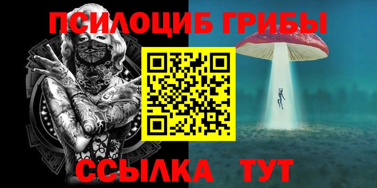 Псилоцибиновые грибы Psilocybe Биробиджан