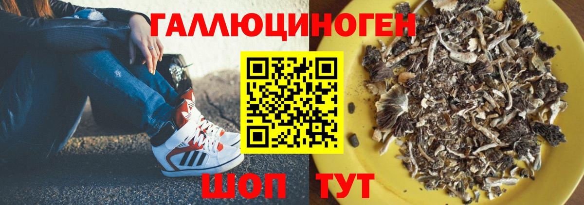 Биробиджан  Псилоцибиновые грибы мухоморы  Галлюциногенные грибы Psilocybe  Вход с VPN 